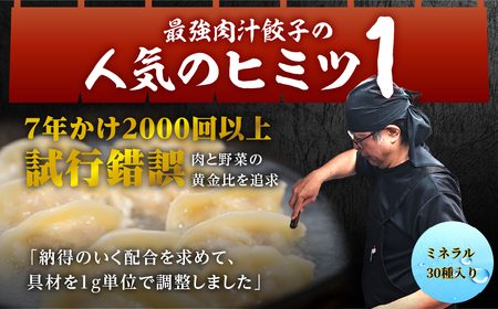 とよはし 訳あり『最強肉汁餃子』33個【ご家庭用】簡易包装　新感覚！餃子