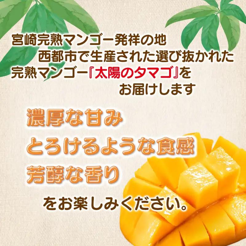 【4回定期便】2027年発送 最高級ブランド「太陽のタマゴ」900g～1kg程度×4回 西都市産完熟マンゴー【先行予約】宮崎完熟マンゴー＜1-11a＞