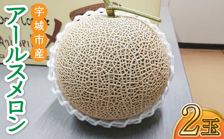 【先行予約】 宇城市産 アールスメロン 2玉 フレッシュダイレクト【2026年6月上旬〜7月下旬頃順次発送予定】