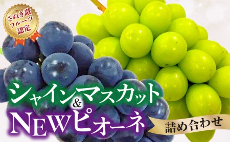 【ふるさと納税】【さぬき讃フルーツ認定】 締め切り間近 シャインマスカット＆NEWピオーネ詰め合わせ  シャインマスカット 大粒 贈答用 ギフト お取り寄せ 国産 旬 新鮮 産地直送 高級 ぶどう 葡萄 ブドウ 皮ごと 種なし たねなし 詰め合わせ 詰合せ 詰合わせ