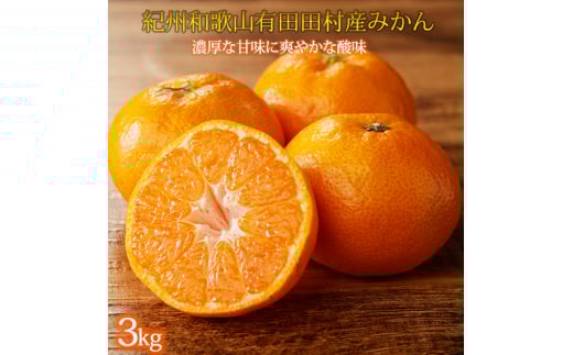【先行予約】高級ブランド 秀品 紀州有田田村産みかん 3kg ※2025年12月頃〜2026年1月下旬頃に順次発送予定 / みかん ミカン 蜜柑 温州みかん 柑橘 フルーツ 果物 【uot848】