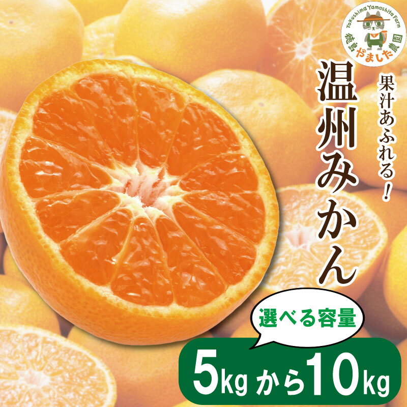 【ふるさと納税】 みかん 温州みかん 5kg 10kg 2025年10月順次発送 温州みかん 完熟 極早生 早生 柑橘 果物 フルーツ 国産 新鮮 ジュース 甘い デザート スイーツ 【北海道、東北、離島、沖縄配送不可】