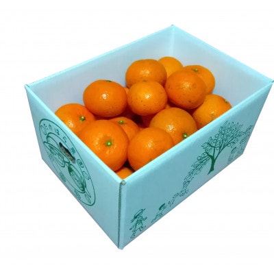 【先行受付】【2026年2月上旬以降順次発送】たけはら農園のたんかん(ご家庭用バラ詰め3kg×2箱)【1609425】