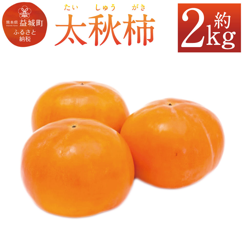 【ふるさと納税】太秋柿 約2kg 柿 カキ フルーツ 果物 国産 九州産 熊本県産 送料無料 【2026年10月上旬発送予定】