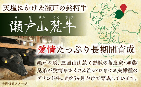 希少部位 瀬戸山麓牛ヒレステーキ用1枚300g（100g×3枚）/ 牛肉 冷凍 フィレ 国産 / 瀬戸市 / 関屋精肉店 [BBBQ021]