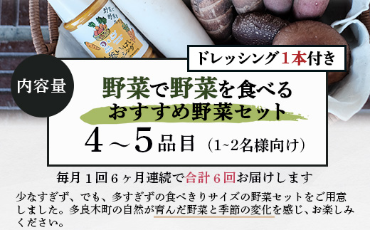 【定期便 6回】野菜ソムリエ 監修【 野菜で野菜を食べる 】旬の おすすめ 野菜＆ドレッシング 定期便 (1〜2名様向け) 野菜 獲れたて 直送 旬 新鮮 セット 詰め合わせ 詰合せ 定期便 産地 直