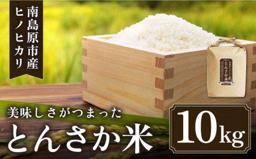 （重複分：受付しない）【南島原市産ヒノヒカリ】とんさか米 10kg / 米 南島原市 / 林田米穀店 [SCO001]