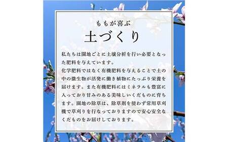 【先行受付 令和8年度発送】山形もぎたて『黄金桃』(無袋)3kg FSY-2538