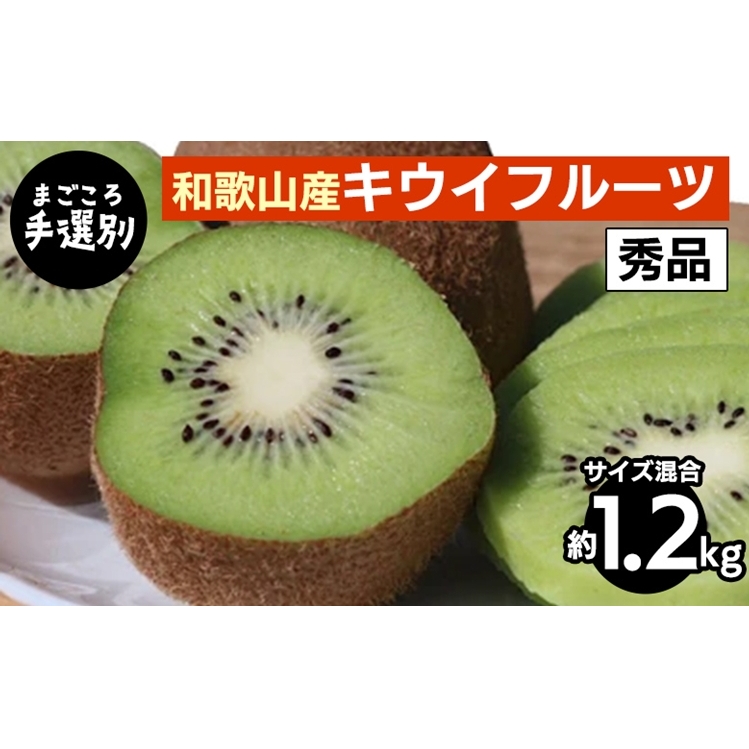 【先行予約】 キウイフルーツ 秀品 約1.2kg サイズ混合 和歌山県産