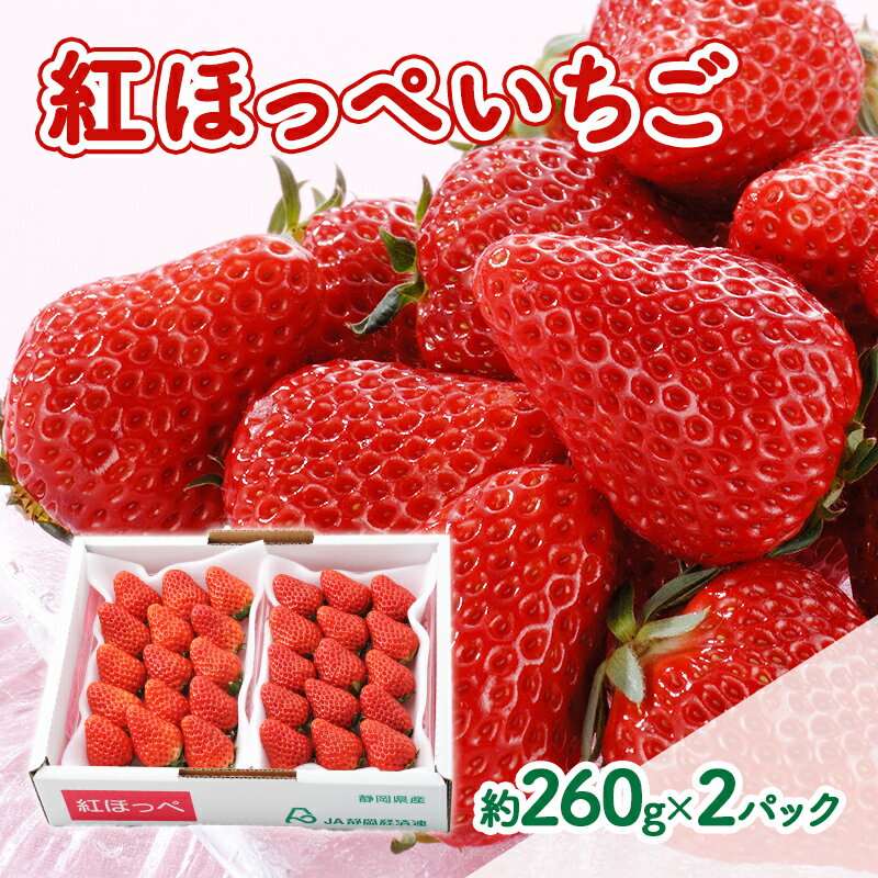 【ふるさと納税】【2026年1月中旬より順次発送】紅ほっぺいちご 約260g×2パック【配送不可：離島】 　お届け：2026年1月中旬～2月下旬