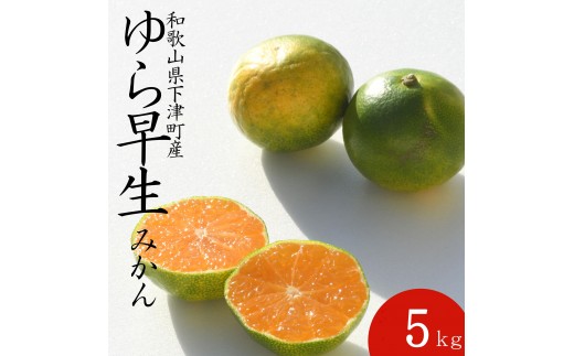 【極早生みかん】ゆら早生 みかん 5kg 家庭用 2S・3S混合サイズ 和歌山県海南市産 産地直送