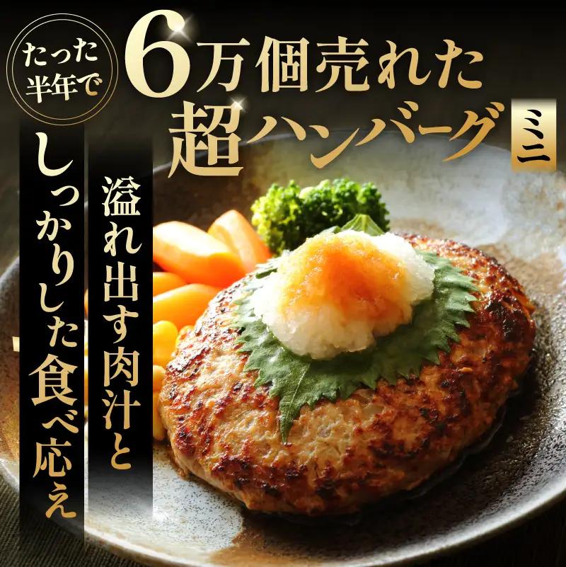 超ハンバーグミニ　10個【0110-019】 飛騨牛