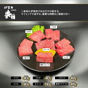 【ふるさと納税】おひとりさま！伊賀肉　高級焼肉セット