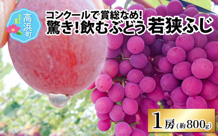 【2026年先行予約】種なし ぶどう 巨峰 若狭ふじ  1房(約800g)｜ ぶどう