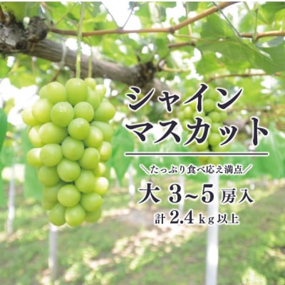 【きよとうファーム】シャインマスカット 上級品 大3−5房/計2.4kg~(岡山県産)【配送不可地域：離島】【1548983】