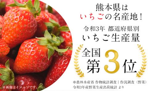 【数量限定】ゆうべに 約1,000g（約250g×4パック）いちご 苺 ゆうべに《3月出荷予定》---hkw_cjaybn_ac3_r8_10000_4p---