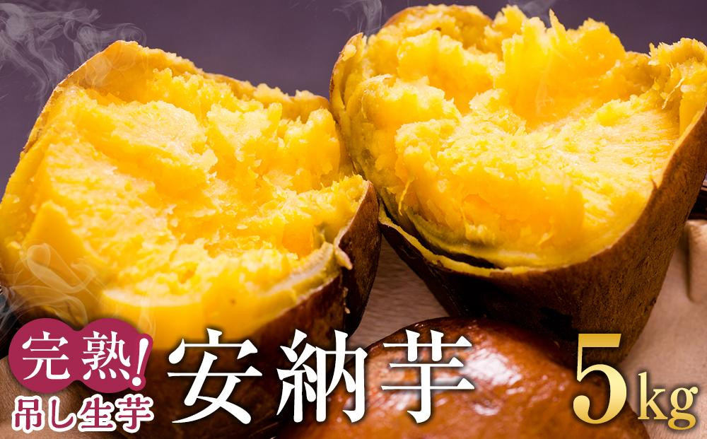 
            完熟吊し生芋　安納芋5kg【安納芋 安納いも 焼き芋 焼芋 芋 いも やきいも さつまいも さつま芋 熟成 蜜 しっとり 甘い 安納いも 国産 鹿児島県産 種子島産 中種子町 安納大地 送料無料 N162】
          