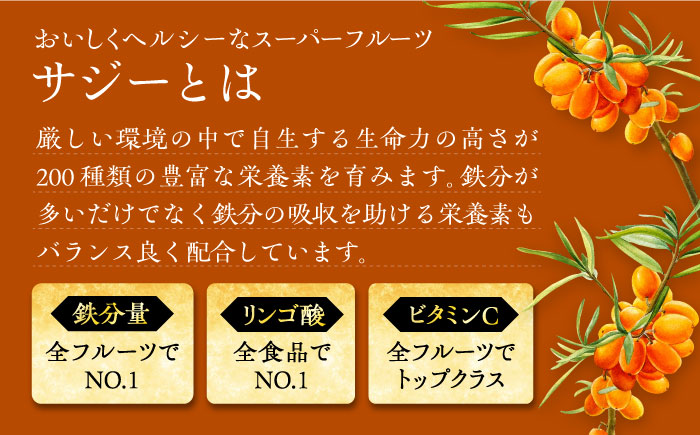 【全3回定期便】 美味しいサジーが毎月届く！すっきり美味しいサジー（2本）定期便3回《豊前市》【ハウスボトラーズ】 [VAX036]