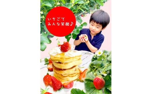 摘みたて！旬のいちご560g（280g×2）※北海道・沖縄・離島への配送不可 ※2026年3月上旬～4月上旬頃に順次発送予定| いちご 苺 イチゴ 560グラム 2パック フルーツ 小分け おいしい 
