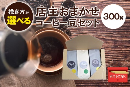 【中挽き】店主おまかせ 挽き立てコーヒー豆3種類セット(100g×3種類）【hgo003-b】　