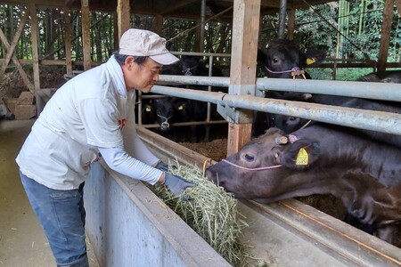 ＜なかむら謹製＞【博多和牛】黒毛和牛ロースしゃぶしゃぶ用うす切り2.4kg【K-031】博多和牛 黒毛和牛 しゃぶしゃぶ 筑穂牛 ロース