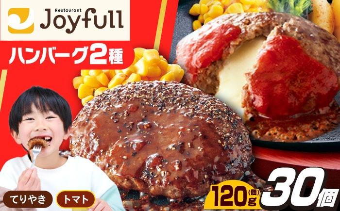 ジョイフル ハンバーグ スペシャル 詰め合わせ 2種 30個 セット《築上町》【株式会社　ジョイフル】[ABAA071]