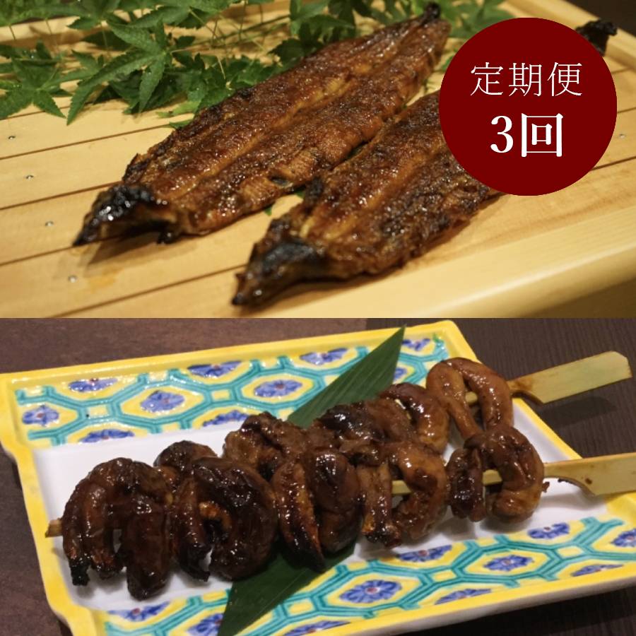 【三越伊勢丹選定】＜うなぎ割烹　みかわ三水亭＞三河産鰻蒲焼「極み」145g×2尾&鰻肝1袋【3ヵ月定期便】・M142