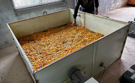 健康食品 ウコン sp 2袋(1粒330mg×200粒) ウコン