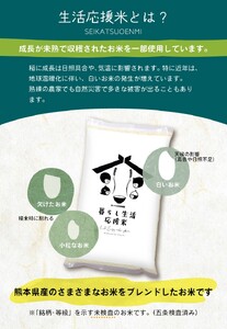 【定期便6回】 毎日食卓・米農家 応援米 20kg ( 5kg ×4袋)  × 6回 熊本県産 お米 白米