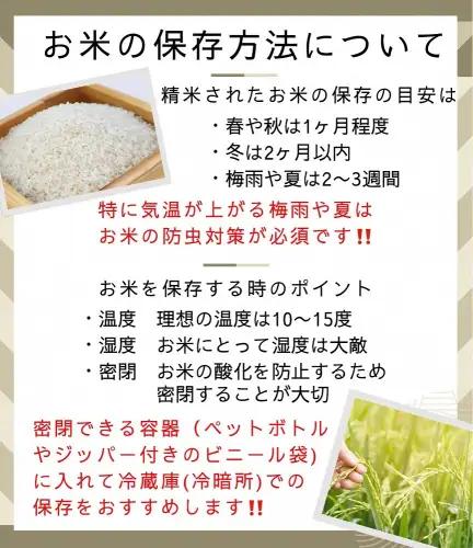 【12回定期便】コシヒカリ・きぬひかり 10kg 定期便 精米 白米
