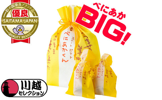 
No.869 スイートポテトべにあかくん6個入（BIG専用巾着） ／ お菓子 さつま芋 埼玉県
