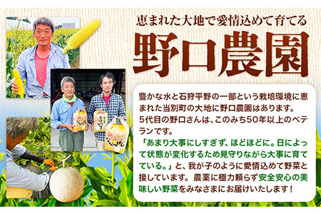[2.6-48]　【令和7年産先行予約】　野口農園お米セット10kg「ななつぼし・おぼろづき」 《10月末頃から順次出荷》