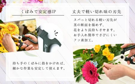 期間限定 生花はさみ ハンドクリエーションF170 黒刃 アーモンドグリーン 期間限定色 冬季限定 花ハサミ 園芸ハサミ 生花用 園芸用品 ガーデニング用品 [坂源] 【011S278】