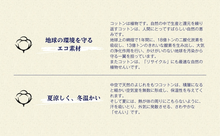 オーガニックコットン 掛ふとん セミダブルロング