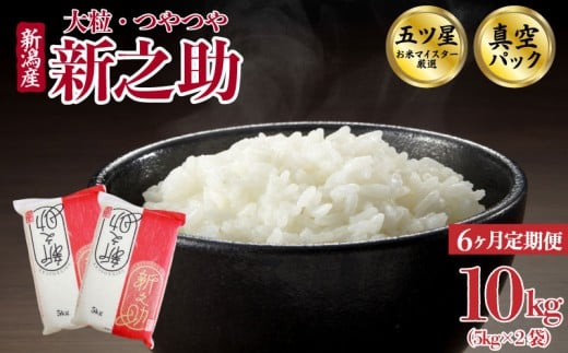 【10kg定期便】 6か月 新之助 真空パック 10kg 令和7年産 米 五つ星お米マイスター 新潟県産 新発田産 しんのすけ 備蓄 非常 防災 長期保存 アウトドア ごはん ご飯 お米 米 こめ 新潟県 新発田市 三糧定期便 sanryo010_01
