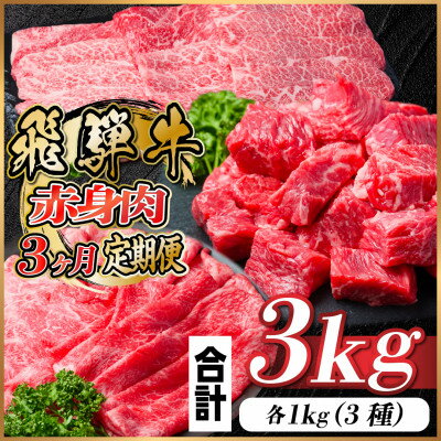 【ふるさと納税】【毎月定期便】飛騨牛 赤身肉定期便 計3kg全3回【配送不可地域：離島】【4059529】