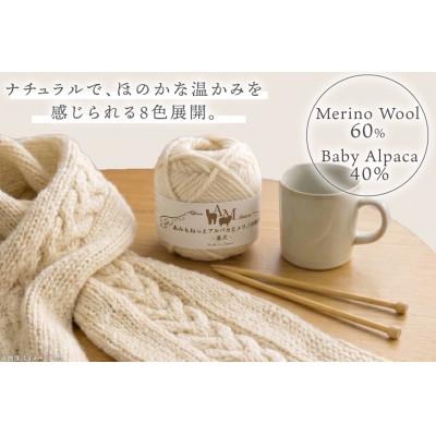 ふるさと納税 江南市 あみもねっと アルパカとメリノの物語並太 8番色 10玉セット |  | 01