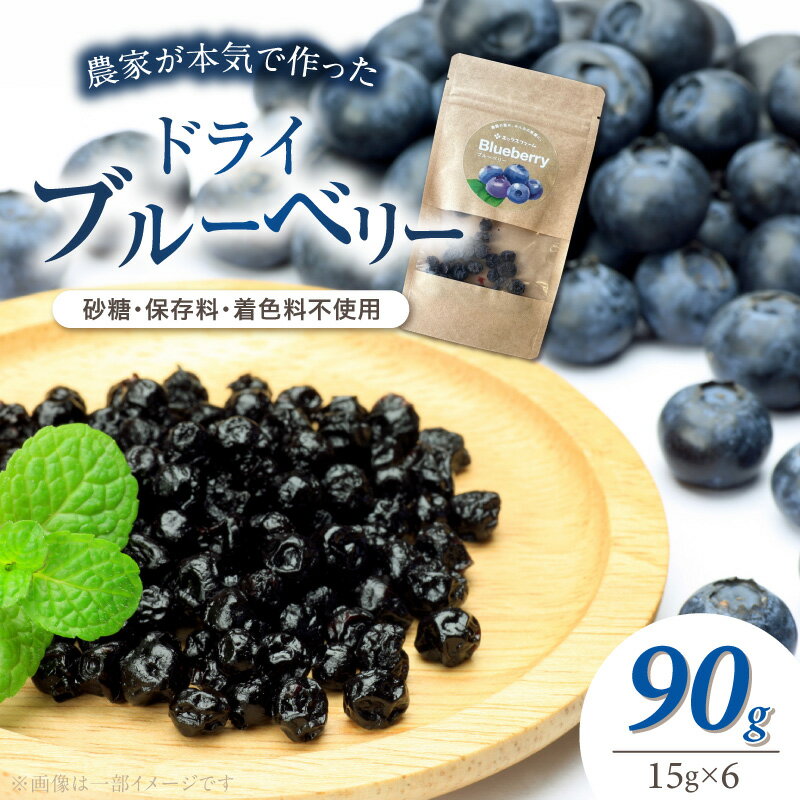 【ふるさと納税】ドライブルーベリー 15g 6パック ブルーベリー ドライフルーツ シンプル やさしい 甘酸っぱい 爽やか 砂糖不使用 保存料不使用 着色料不使用 小分け 便利 間食 おやつ フルーツ ヨーグルト グラノーラ お取り寄せ 愛知県 碧南市 送料無料