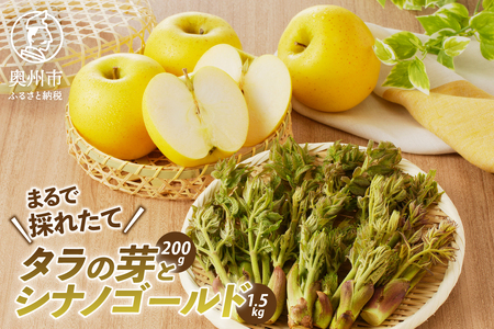 りんごと栽培タラの芽 [BK009]