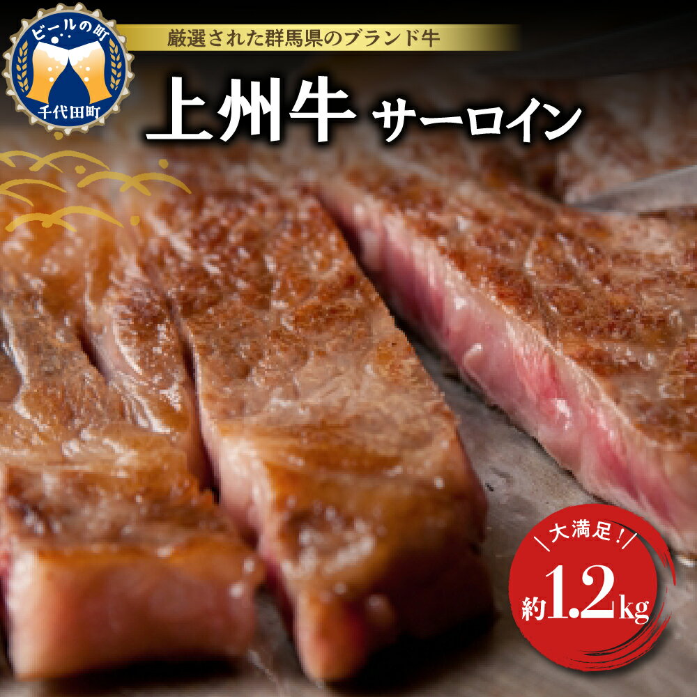 【ふるさと納税】牛肉 サーロイン 【上州牛】 約1.2kg (約200g×6枚) 国産 牛肉 ステーキ キャンプ アウトドア バーべキュー BBQ 冷凍 送料無料 群馬県 千代田町