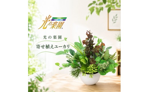 
            光の楽園 寄せ植えユーカリ【配送不可：北海道・沖縄・離島】 インテリア 光触媒 人工植物 造花 フェイクグリーン 花 フラワー 清浄 消臭 浜松市 [№5360-0683]
          