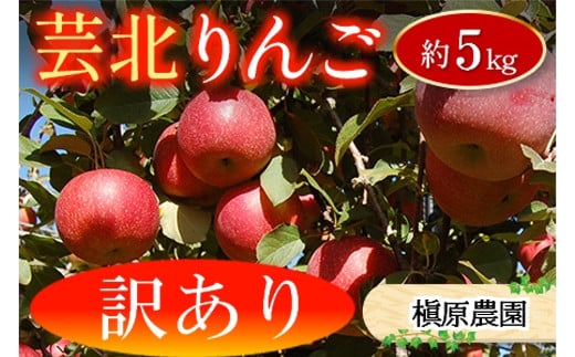 りんご 訳あり ご家庭用 約5kg 槇原農園の芸北りんご 農家直送 シナノスイート ぐんま名月 シナノゴールド ふじ_MA077_002