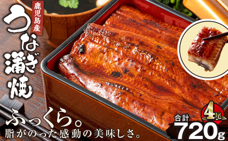 2447 鹿児島 産 うなぎ 合計720g （ 180g × 4尾 ） KN021-015-04 ウナギ 鰻 うなぎ蒲焼 鰻蒲焼き ウナギ蒲焼 惣菜 総菜 魚類 魚貝類 魚介類 海産物 鰻重 うな重 ひつまぶし 鰻丼 土用の丑 魚 冷凍 財宝 ふるさと納税 鹿屋市 おすすめ ランキング プレゼント ギフト