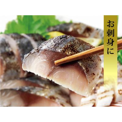ふるさと納税 石巻市 【訳あり】国産あぶりしめさば 4枚入 4パック しめ鯖 冷凍 無着色 サバ お刺身 お寿司 おかず |  | 03