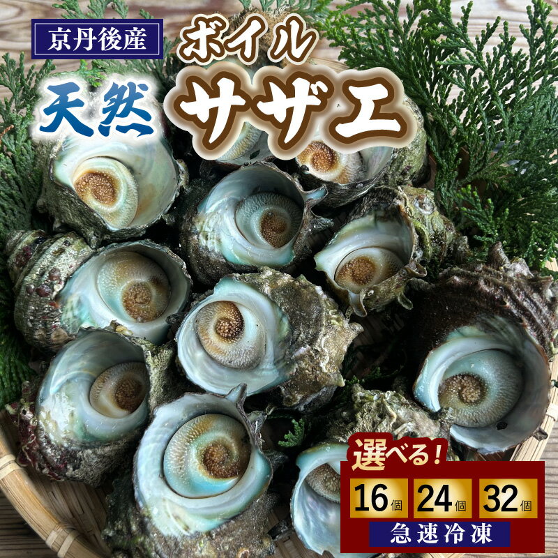 【ふるさと納税】急速冷凍！壺焼き BBQにオススメ！天然ボイルサザエ 16個 24個 32個 選べる 海鮮 魚介類 魚介 天然 ボイル つぼ焼き BBQ ふるさと納税 サザエ