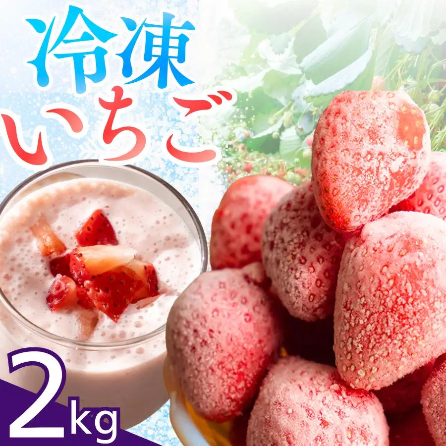 【先行予約＿2026年出荷分】完熟冷凍イチゴ　2kg（約7.6パック相当） 恋みのり、かおり野　から厳選　　【 フローズン ストロベリー スムージー 苺 いちご 】