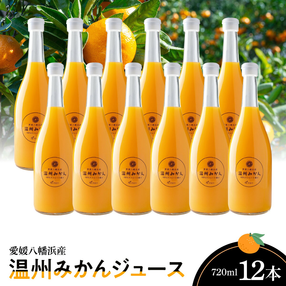 【ふるさと納税】温州みかんジュース(ストレート)720ml×12本【H56-81】_【1668640】 YWTAS071