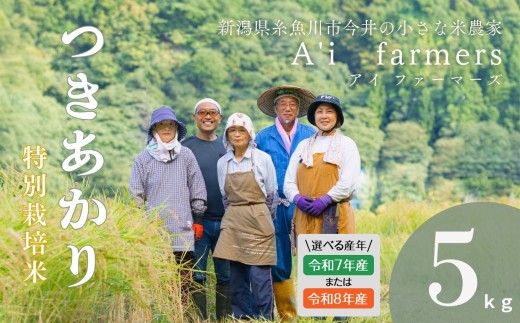 【R8年産】特別栽培米 『 つきあかり 』 5kg 新潟県 糸魚川市産 無農薬 無化学肥料米 安心 安全 美味しいお米 新潟米 今井産 アイファーマーズ 今摺り米 精米 白米【こしひかり おにぎり お弁当 におすすめ お米 おこめ コメ ご飯 ライス ふるさと納税米 ブランド米 5キロ】