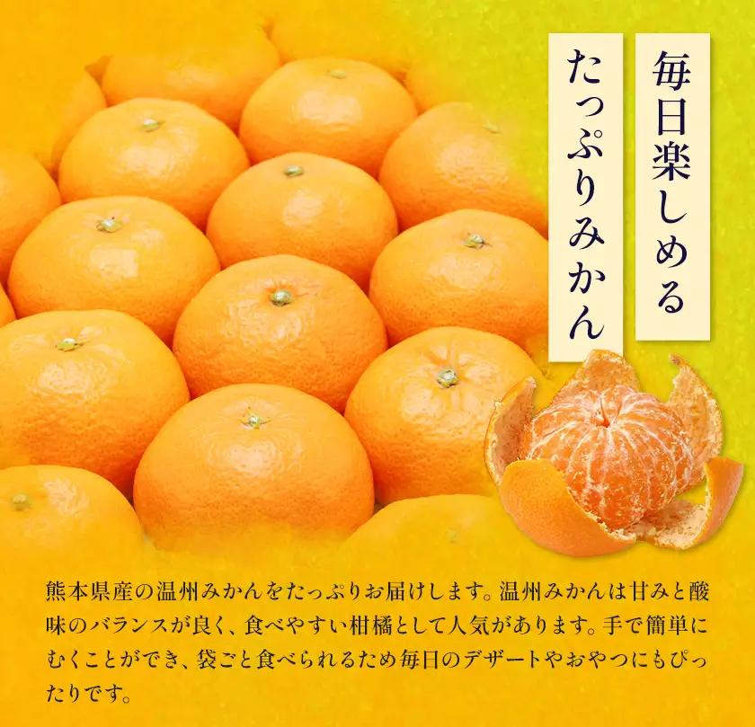 温州みかん 8㎏ 日本フルーツ株式会社 ミカン