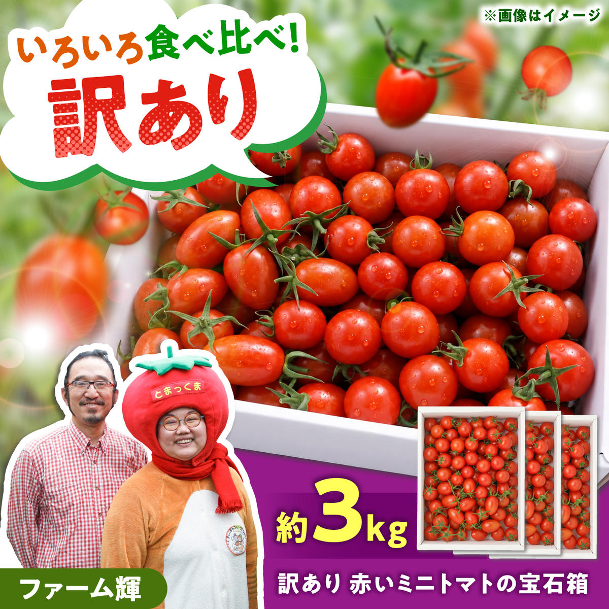 【訳あり】【先行予約】訳あり 赤いミニトマトの宝石箱 約3kg / たっぷり楽しむ食べ比べセット〈2026年11月下旬～2027年5月下旬まで〉 トマト とまと ミックス 詰め合わせ セット 野菜 料理 サラダ マリネ パスタ 浅漬け おやつ 弁当 甘味 酸味 新鮮 訳アリ 高知県 土佐市【ファーム輝】 [BQBM011]